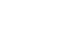 White logo of Scottsdale Detox