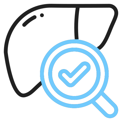 icon showing liver check