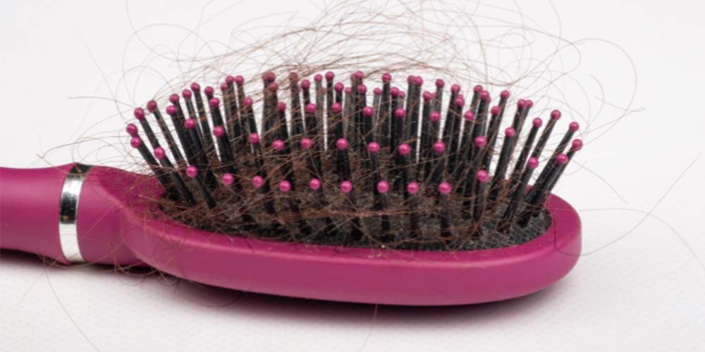 hair brush with hair