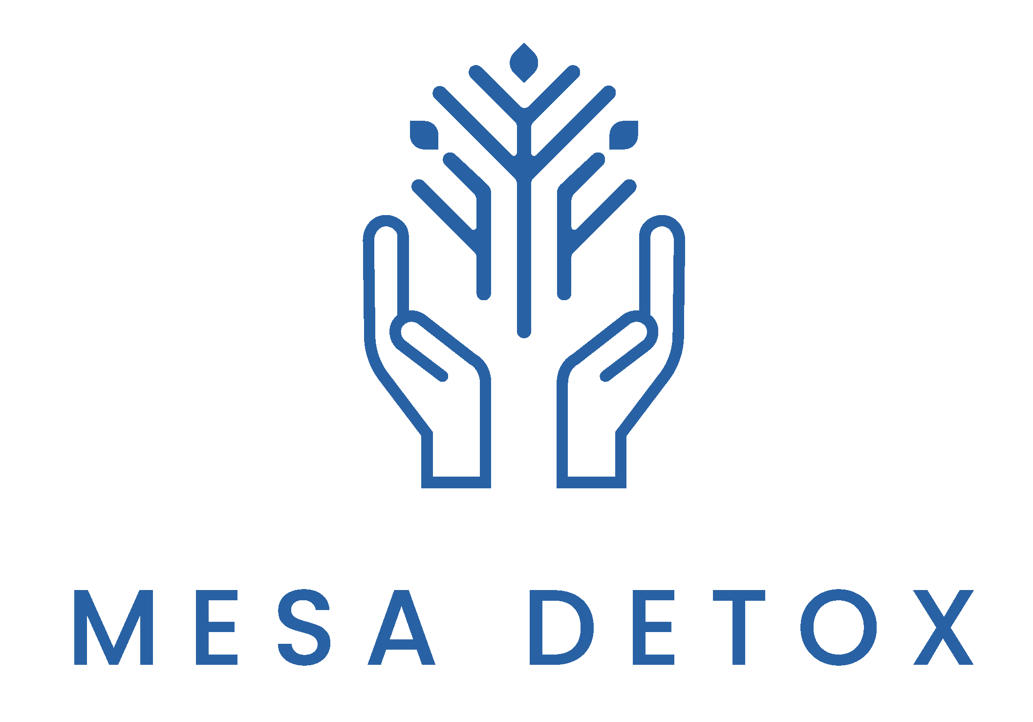 Mesa Detox logo